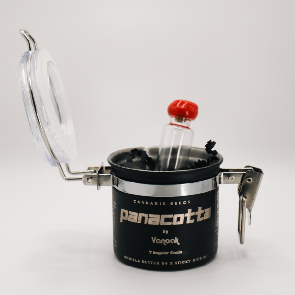 Pannacotta - Image 3